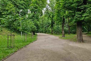 Біля Замку 19