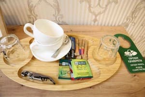 Мини-отель Львовский. Улучшенный двухместный  6