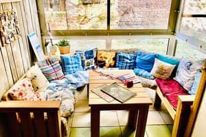 Польська Подушка  11