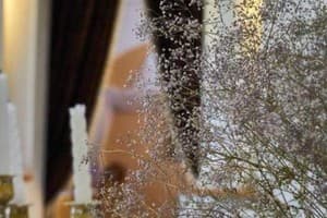 Райское Яблоко 9